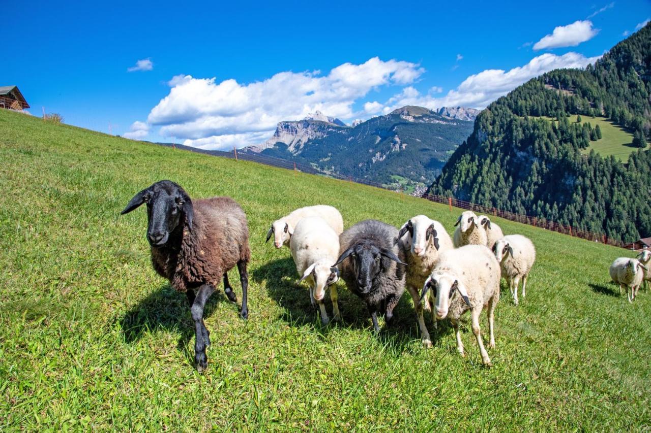 Agriturismo Apartments Tuene Ortisei Kültér fotó