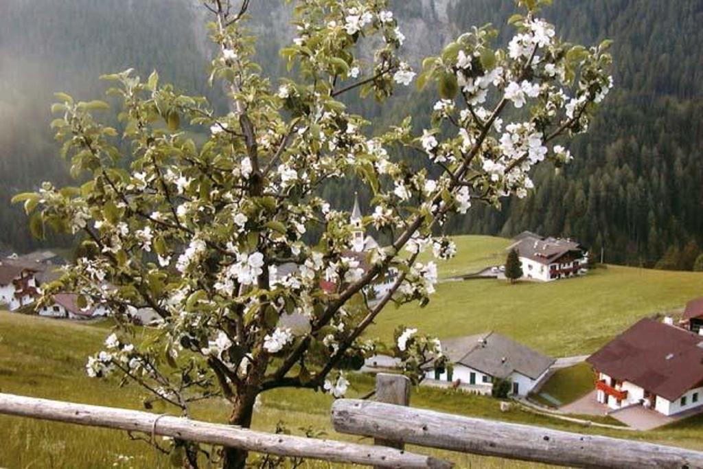 Agriturismo Apartments Tuene Ortisei Kültér fotó